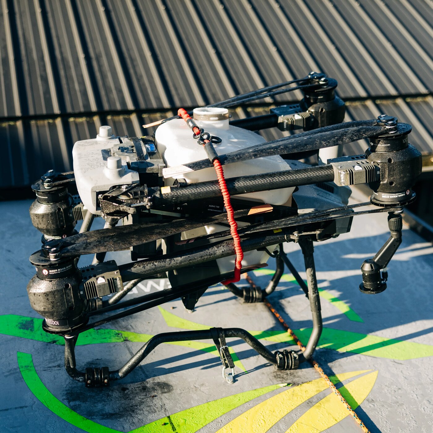 3-Foot Pro Grade Bungee Cord