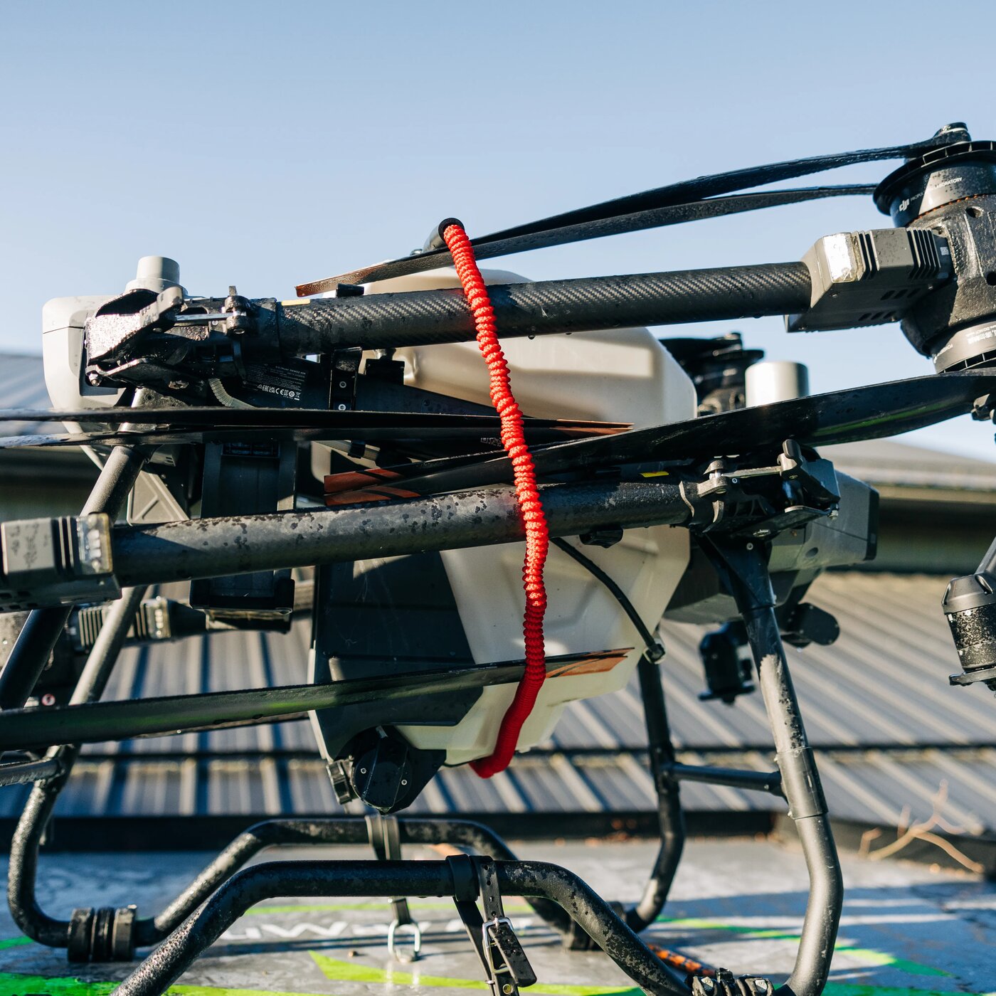 3-Foot Pro Grade Bungee Cord