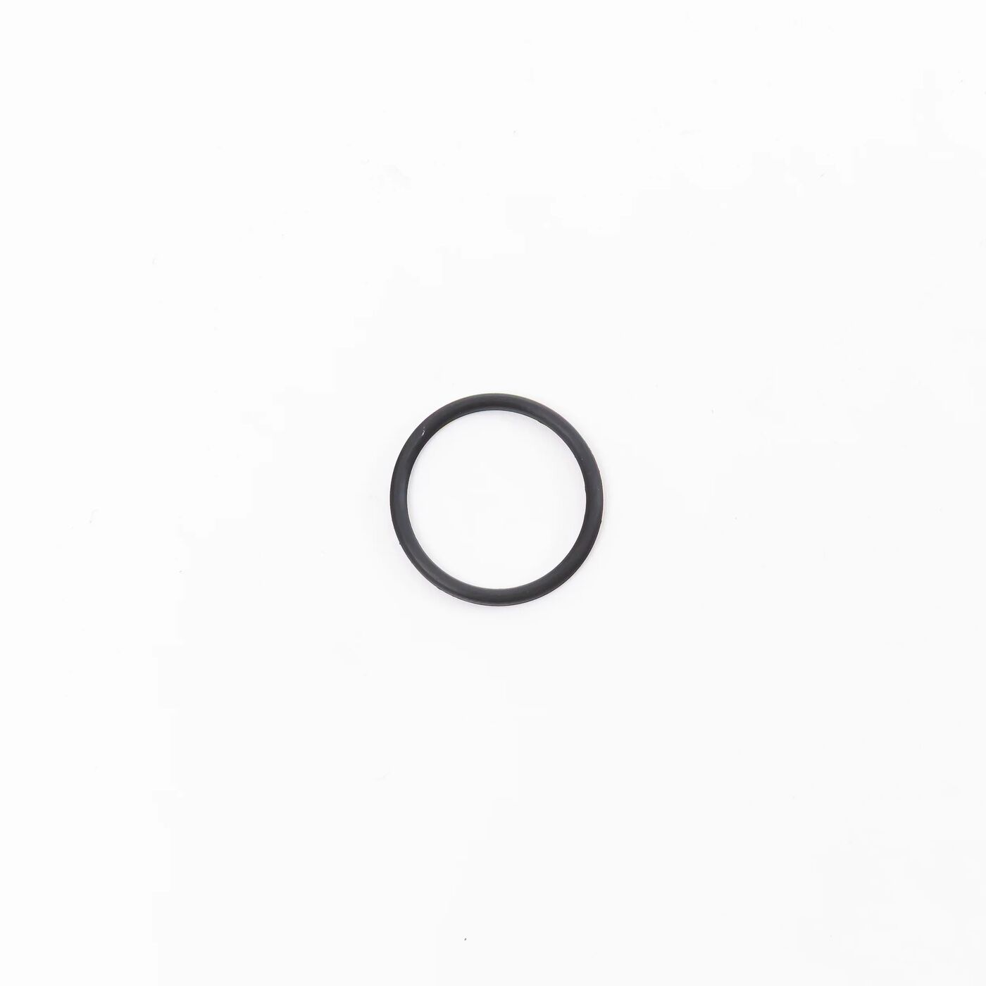 Spray Tank Filter Rubber Ring with 100 Holes (T100/T60X/T50) YC.SJ.J01186